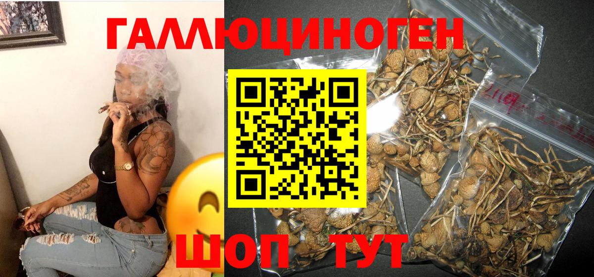 Галлюциногенные грибы Psilocybine cubensis Выкса
